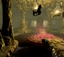 Квесты (Dawnguard)