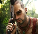 Vaas Montenegro