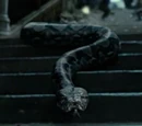 Nagini