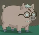 Harry Plopper
