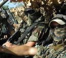 Irish Army Rangers