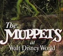 Muppet television specials