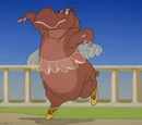 Hippopotamuses