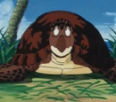 Turtle