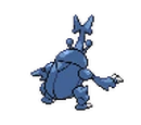 Heracross