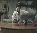 Paddy's Pub: Home of the Original Kitten Mittens