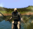Raging Swordsman- F(16),FB(10),Brb(3),Brd(1)