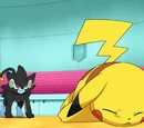 DP179: The Eighth Wonder of the Sinnoh World!