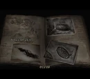 Notas de Luis