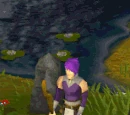 Lunar staff