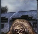 List of mutants