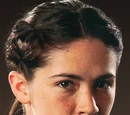 Clove