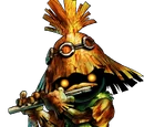 Skull Kid (Raza)