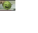 Cabbage