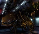 Xenomorph (Alien)