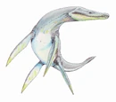 Rhomaleosaurus