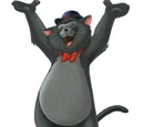 Gato Jazz