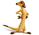 Timon