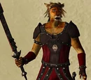 Enchanted Armor (Oblivion)