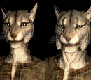 Khajiit