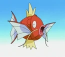 Magikarp