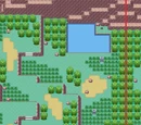 Zona Safari (Hoenn)