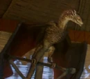 Viserion