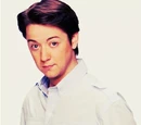 Damian Spinelli (Bradford Anderson)