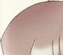 Sanagi Naginoura