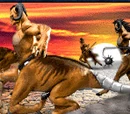 Centauros