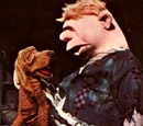 Rover Joe