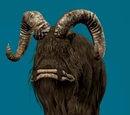 Bantha