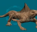 Dunelizard