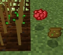 Seed Bag