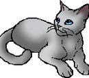 Willowpelt