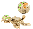 Special Evolution