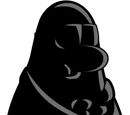 El Director de la EPF
