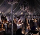 Wedding of William Weasley and Fleur Delacour