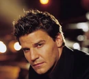 David Boreanaz