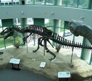 Acrocanthosaurus