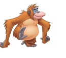 Primates