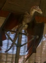 Viserion Matured S3E7.jpg
