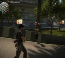 Paparazzi Pursuit