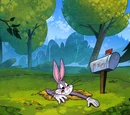 Bugs' Hole