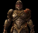 Elemental Cloak Armor Set