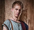 Vettius