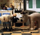 A Close Shave