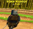 Ronin Warrior