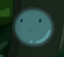 Bubble