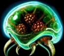 Metroid
